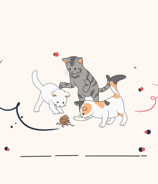 kucing