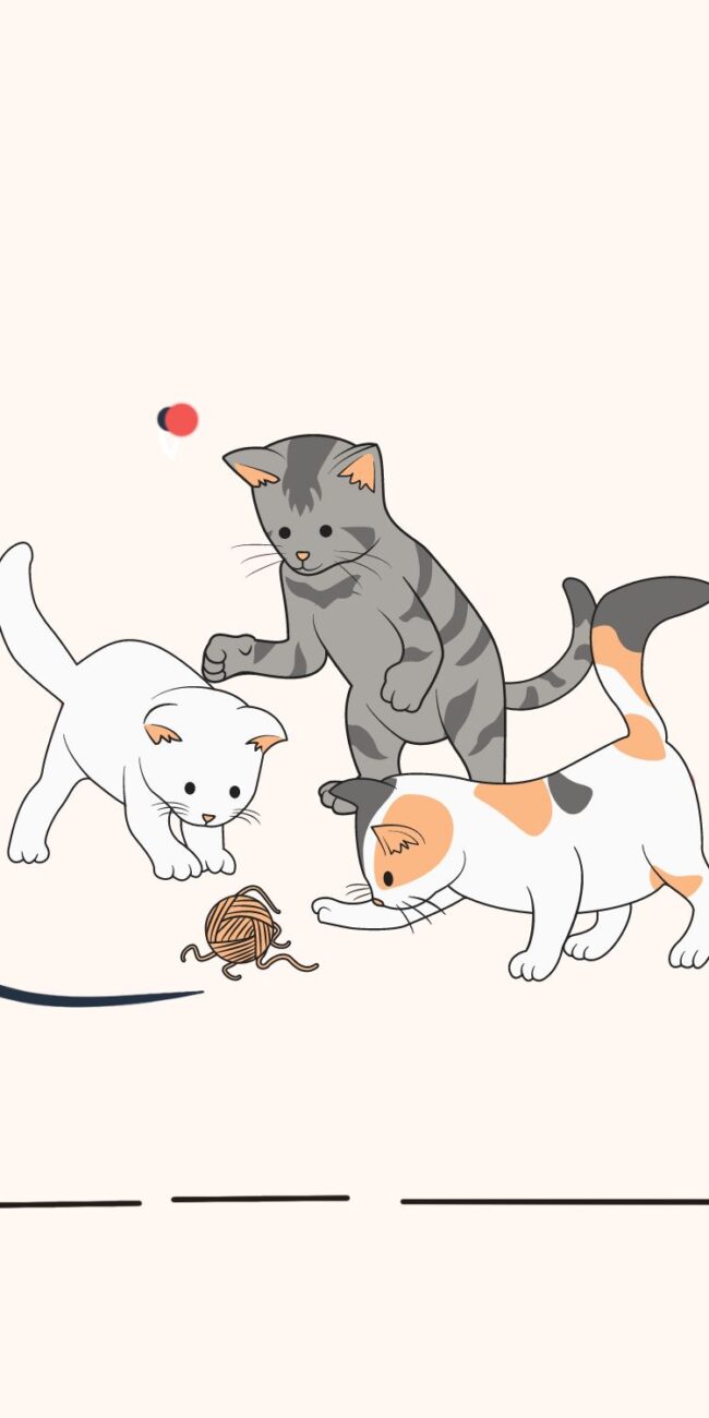 kucing