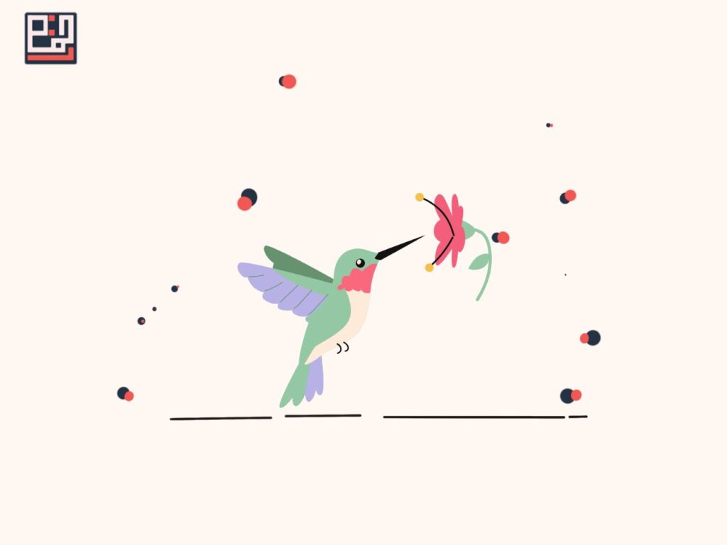 kolibri