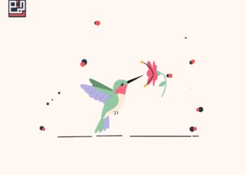 kolibri