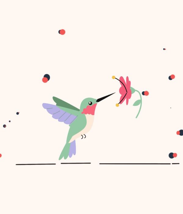 kolibri
