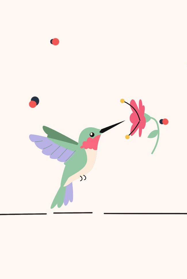 kolibri